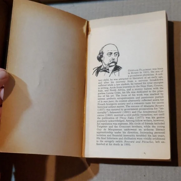 🇫🇷 Madame Bovary Gustave Flaubert paperback book - Picture 5 of 11